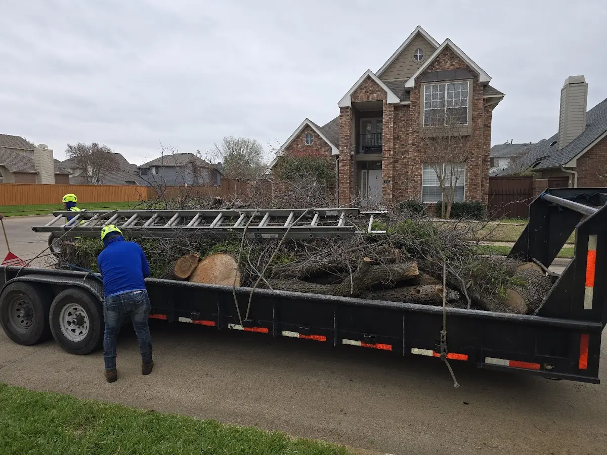 Expert Tree Removal with proper safety equipment in Henderson